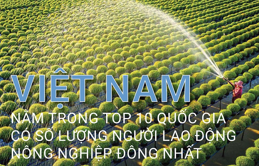 Việt Nam nằm trong top 10 quốc gia có số lượng người lao động nông nghiệp đông nhất thế giới