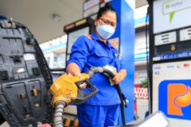 Giá xăng dầu hôm nay 11/9/2023: Giá xăng không đổi, giá dầu tiếp tục tăng