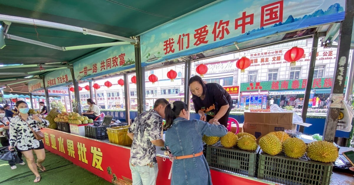 Việt Nam tăng cường xuất khẩu sầu riêng sang Trung Quốc, tận dụng lợi thế địa lý để cạnh tranh với Thái Lan