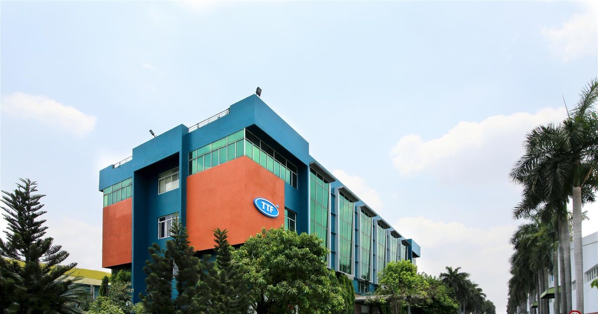 Lỗ lũy kế hơn 3.117 tỷ đồng, cổ phiếu TTF của Gỗ Trường Thành nằm yên trong diện cảnh báo